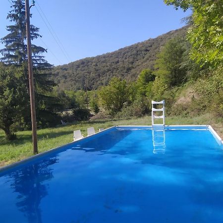 La Grenouille Bed & Breakfast Valleraugue Bagian luar foto