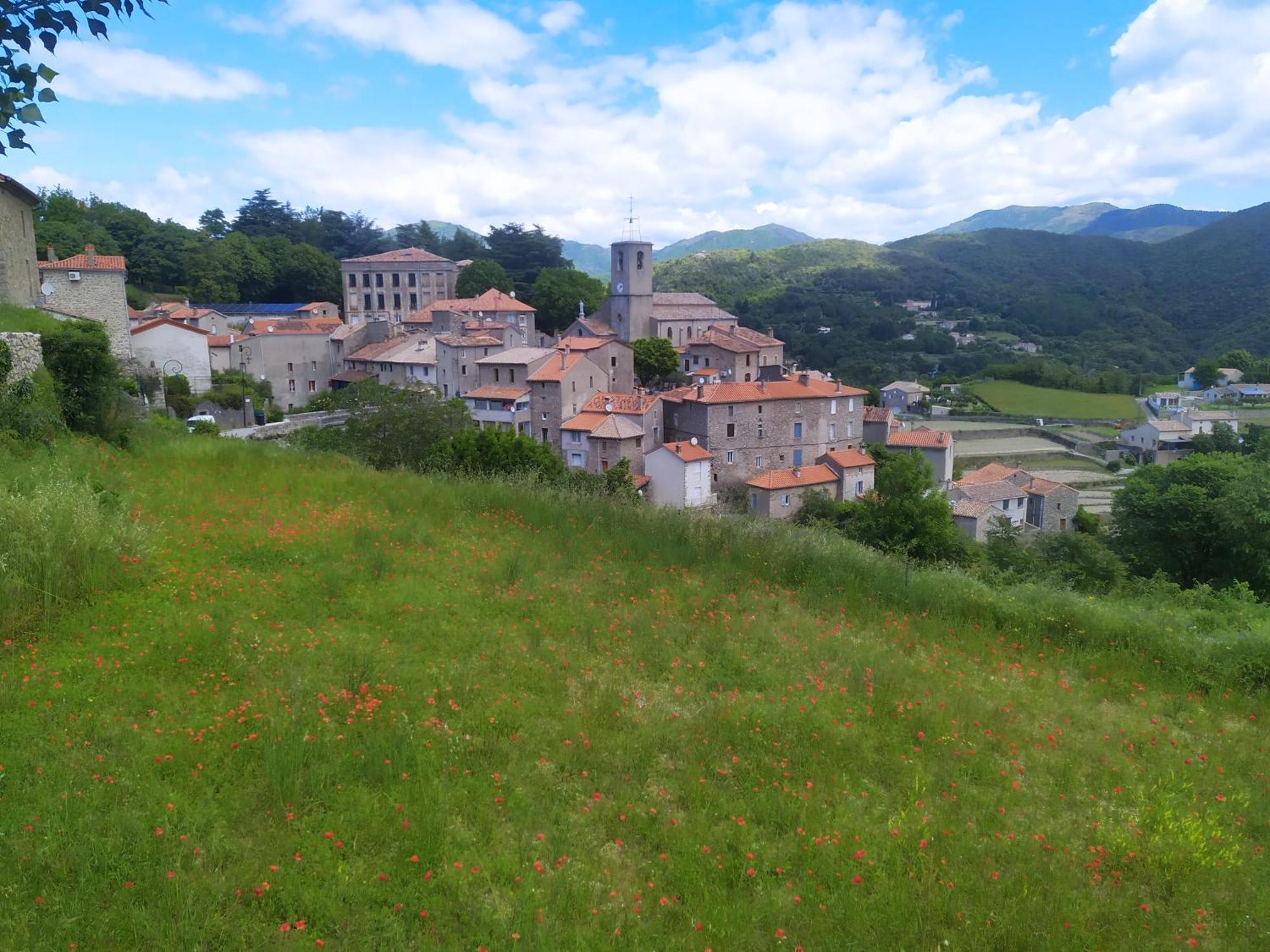 La Grenouille Bed & Breakfast Valleraugue Bagian luar foto