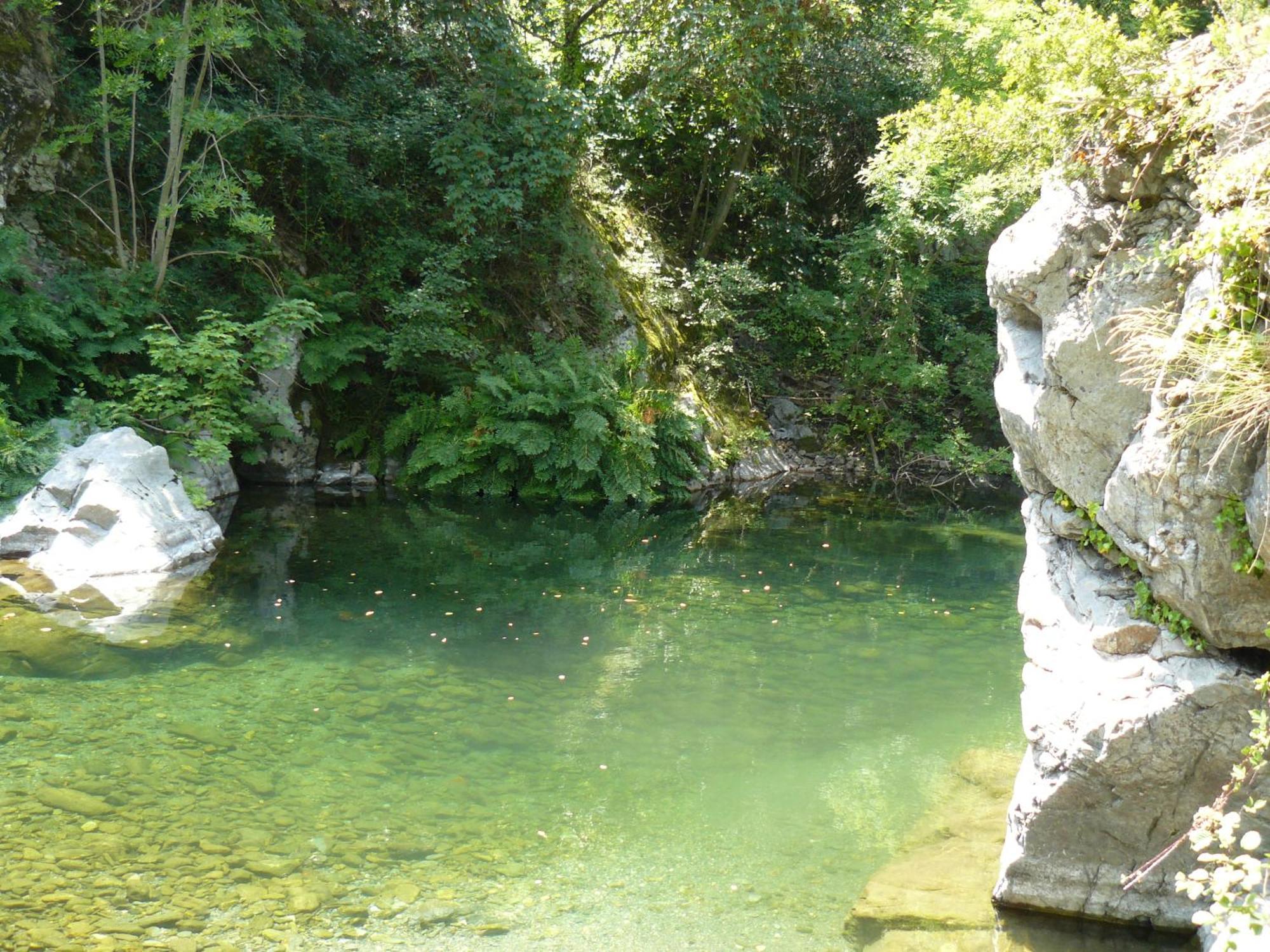 La Grenouille Bed & Breakfast Valleraugue Bagian luar foto