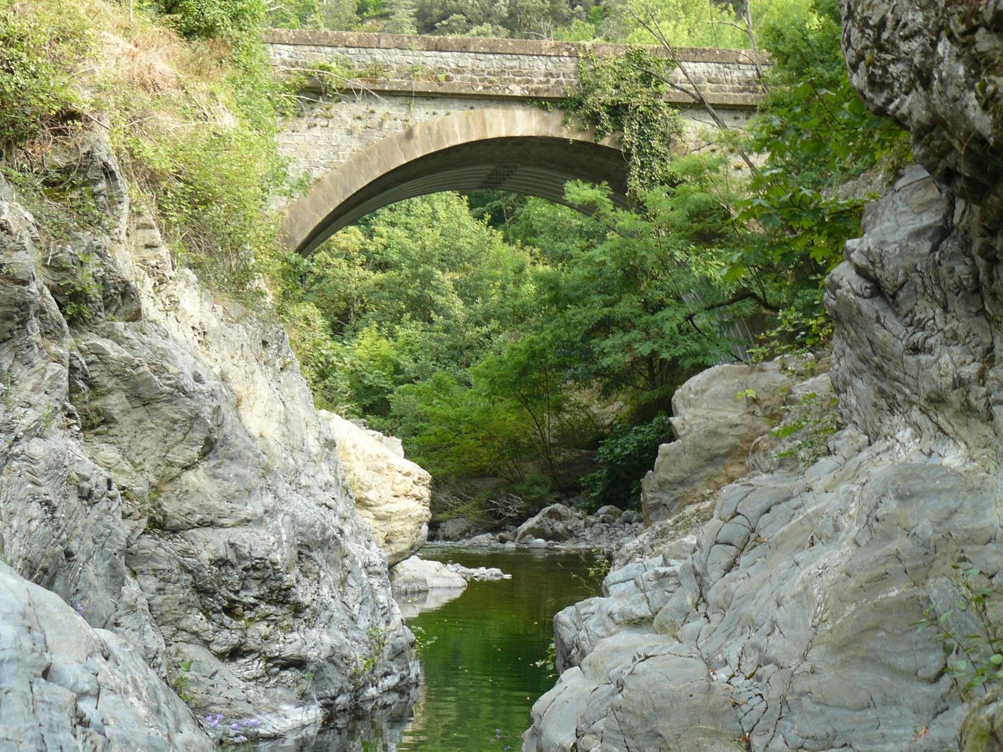 La Grenouille Bed & Breakfast Valleraugue Bagian luar foto