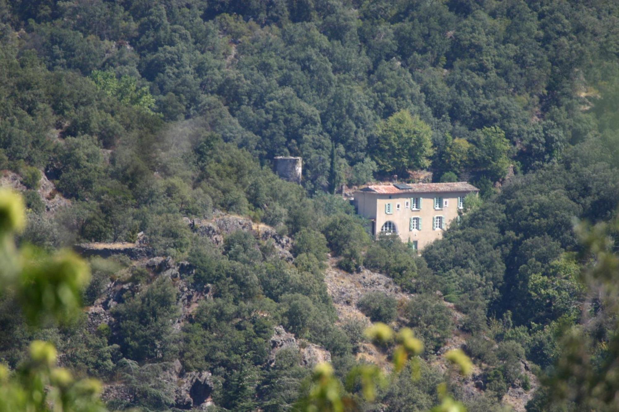 La Grenouille Bed & Breakfast Valleraugue Bagian luar foto