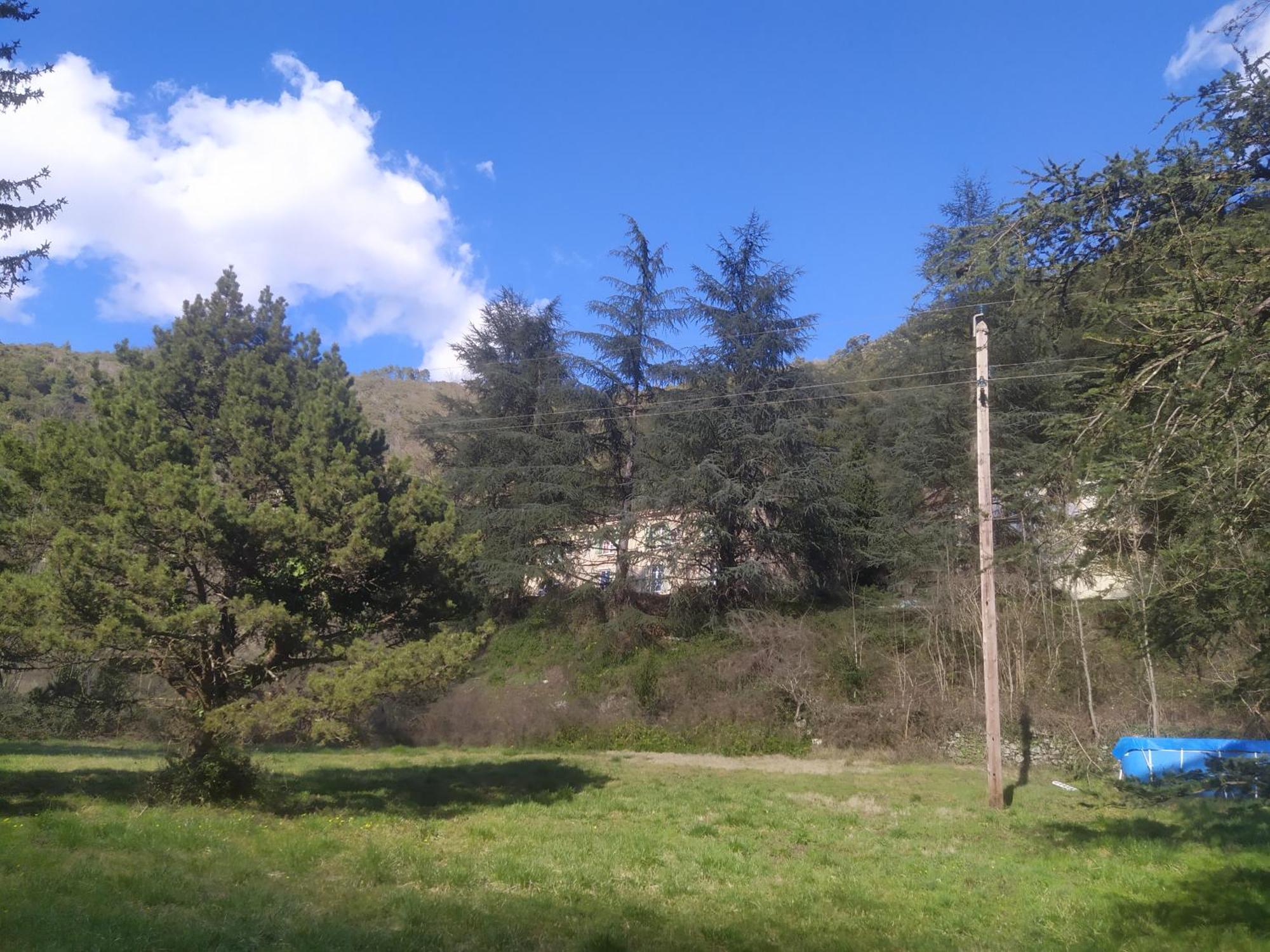 La Grenouille Bed & Breakfast Valleraugue Bagian luar foto